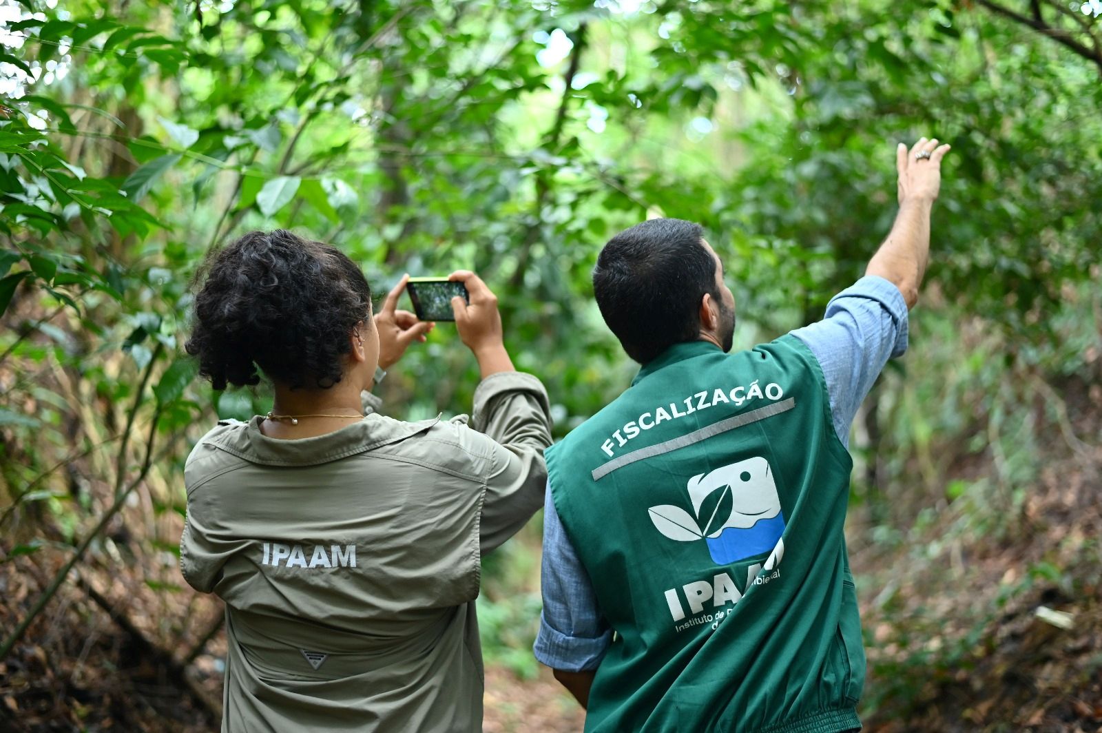 Desmatamento no Amazonas cai 30,1% no primeiro trimestre de 2026, aponta Inpe   - Imagem de destaque