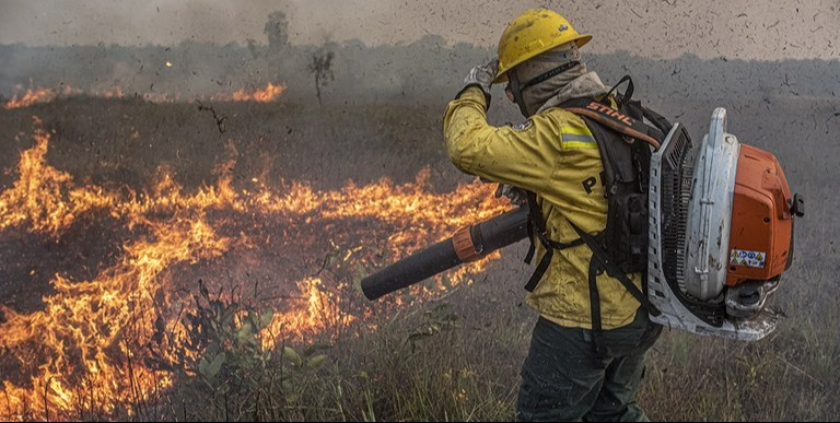 MMA atualiza previsões sobre condições climáticas e risco de incêndios para os próximos meses - Meio Ambiente