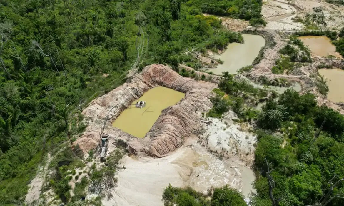 Presença de facções criminosas na Amazônia cresce 32% em um ano - Meio Ambiente