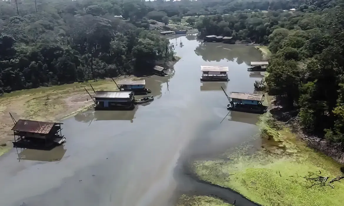 Rios na Amazônia têm risco muito alto de contaminação por mercúrio - Meio Ambiente