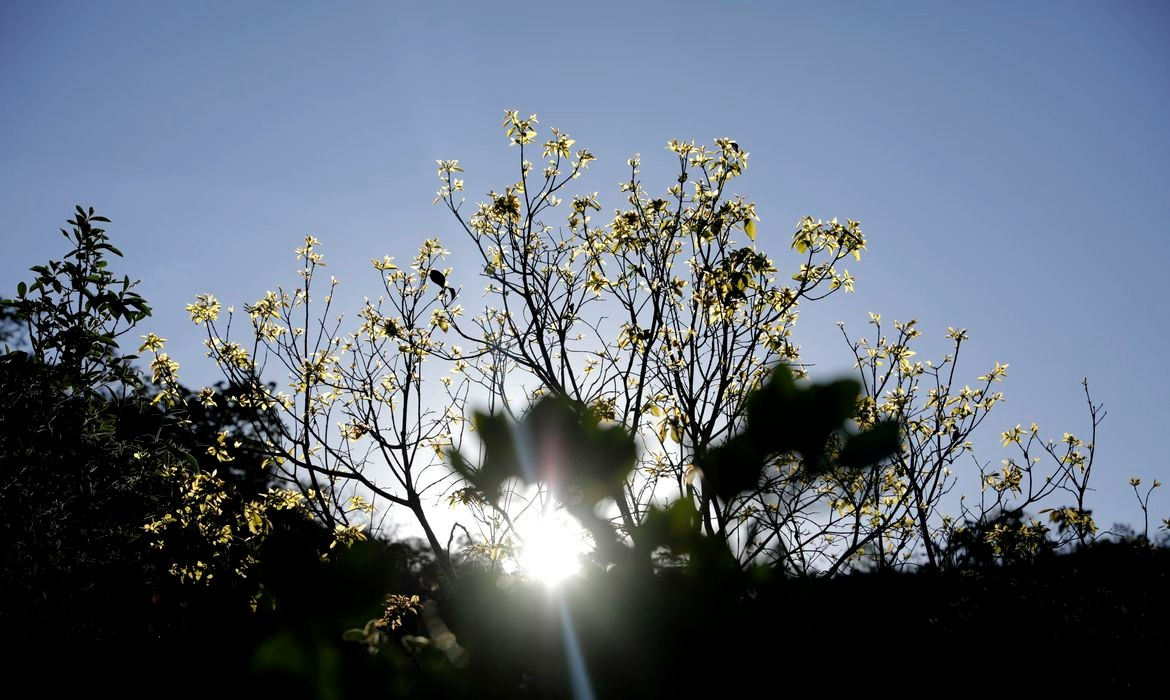 Começa hoje Semana Nacional de Ciência e Tecnologia - Espia Essa