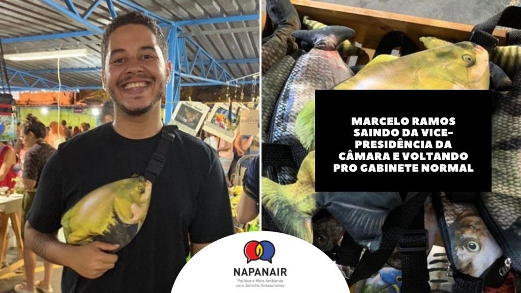 Manobra tira Marcelo Ramos da vice-presidência da Câmara dos Deputados - Meme da hora